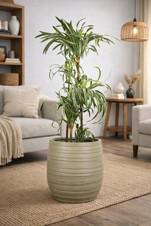 Cone Fiberglass Planters – Yellow Grey