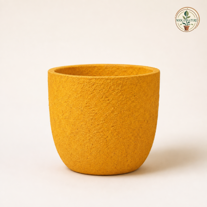 Rock Planter Assorted Stone Finish Fancy - Nook & Nature