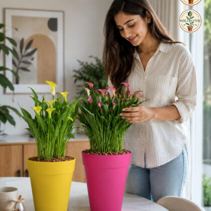 Rome Planter - Nook & Nature