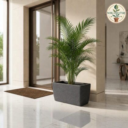 Roto Dove Canon Rectangle Planter with Dot Finish Color - Nook & Nature