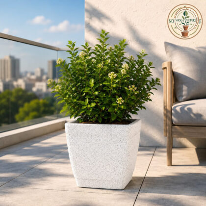 Roto Dove Square Planter With Dot Finish Colour 24x24 White - Nook & Nature