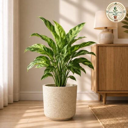Roto Rs Pot Combo 13 16 Round Planter With Dot Finish Colour 13 16 White - Nook & Nature