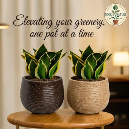 Roto Tiny 01 Self Watering Round Planter Pot 7″ - Nook & Nature