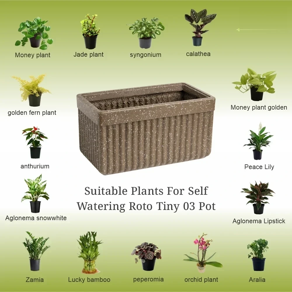 Roto Tiny 03 Self Watering Rectangular Planter Pot 11" - product image 6