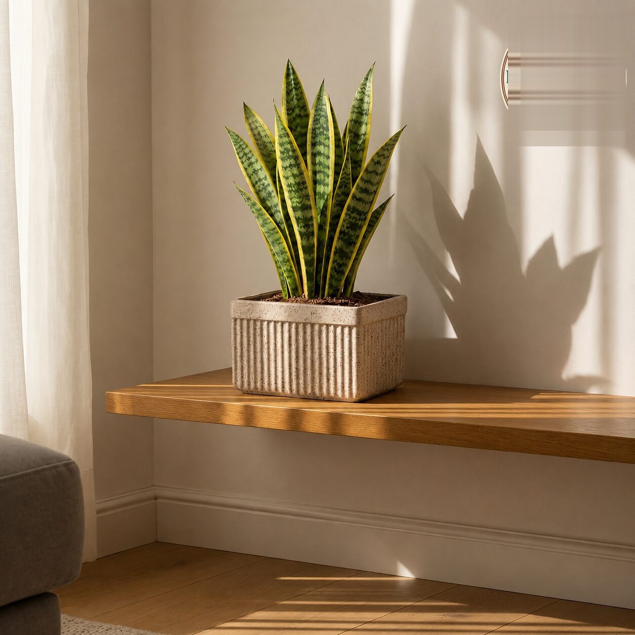 Roto Tiny 03 Self Watering Rectangular Planter Pot 11″ - Nook & Nature
