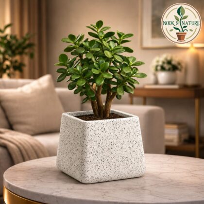 Roto Tiny 05 Self Watering Square Planter Pot 6″ - Nook & Nature