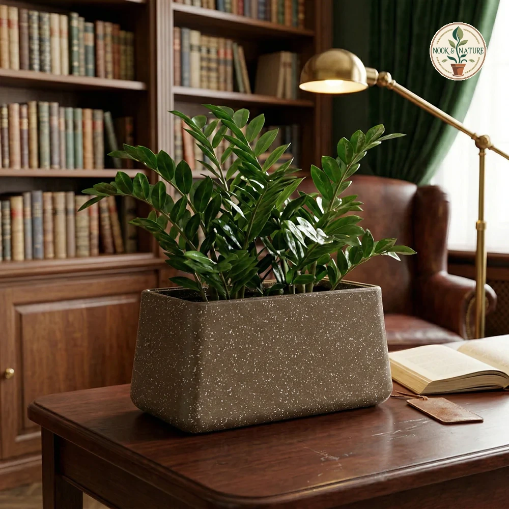 Roto Tiny 06 Self Watering Rectangular Pot 11 11 6 6 Brown - Nook & Nature