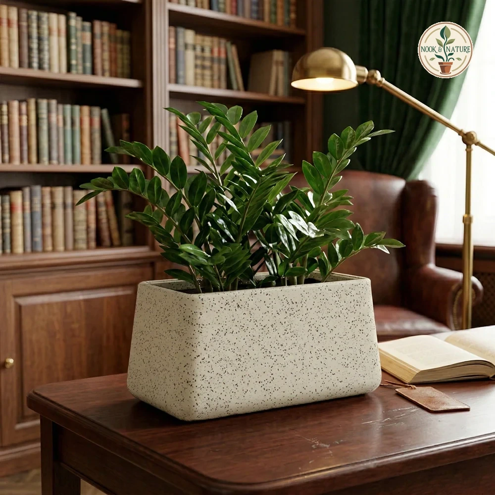 Roto Tiny 06 Self Watering Rectangular Pot 11 11 6 6 Cream - Nook & Nature