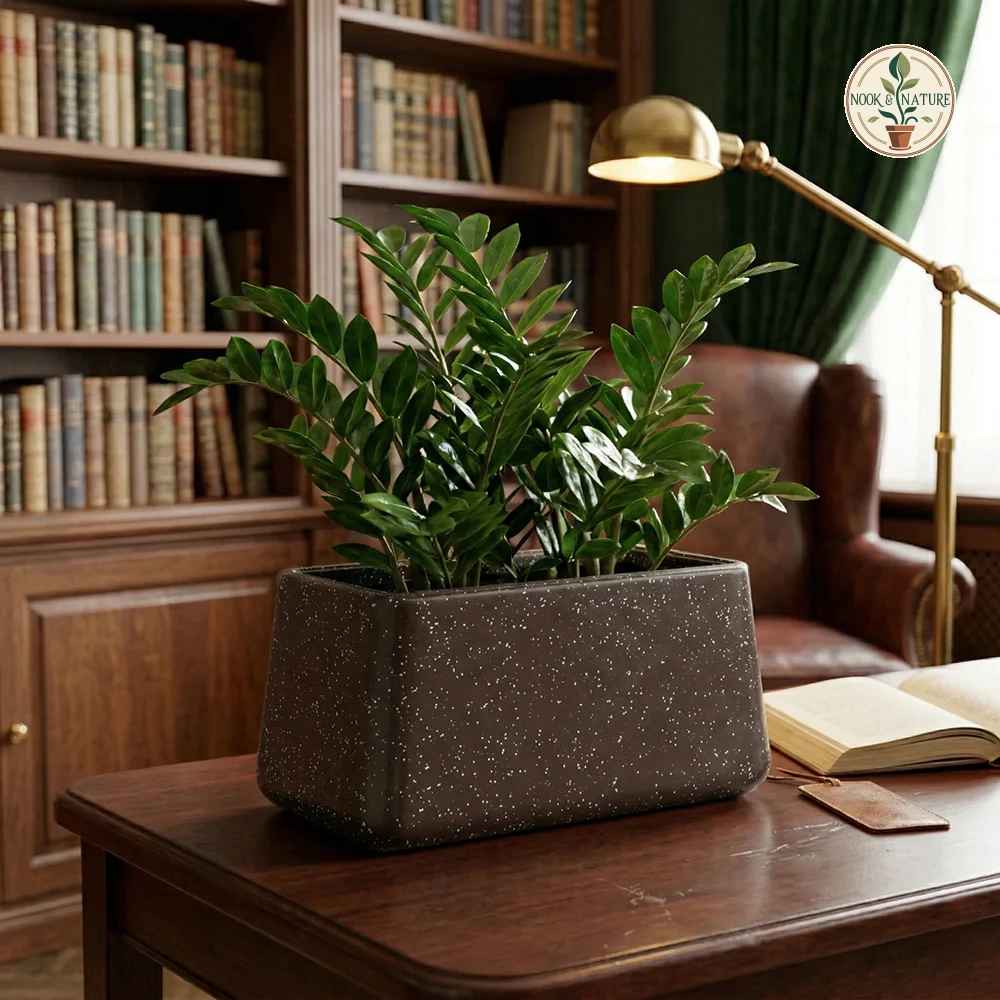 Roto Tiny 06 Self Watering Rectangular Pot 11 11 6 6 Maroon - Nook & Nature