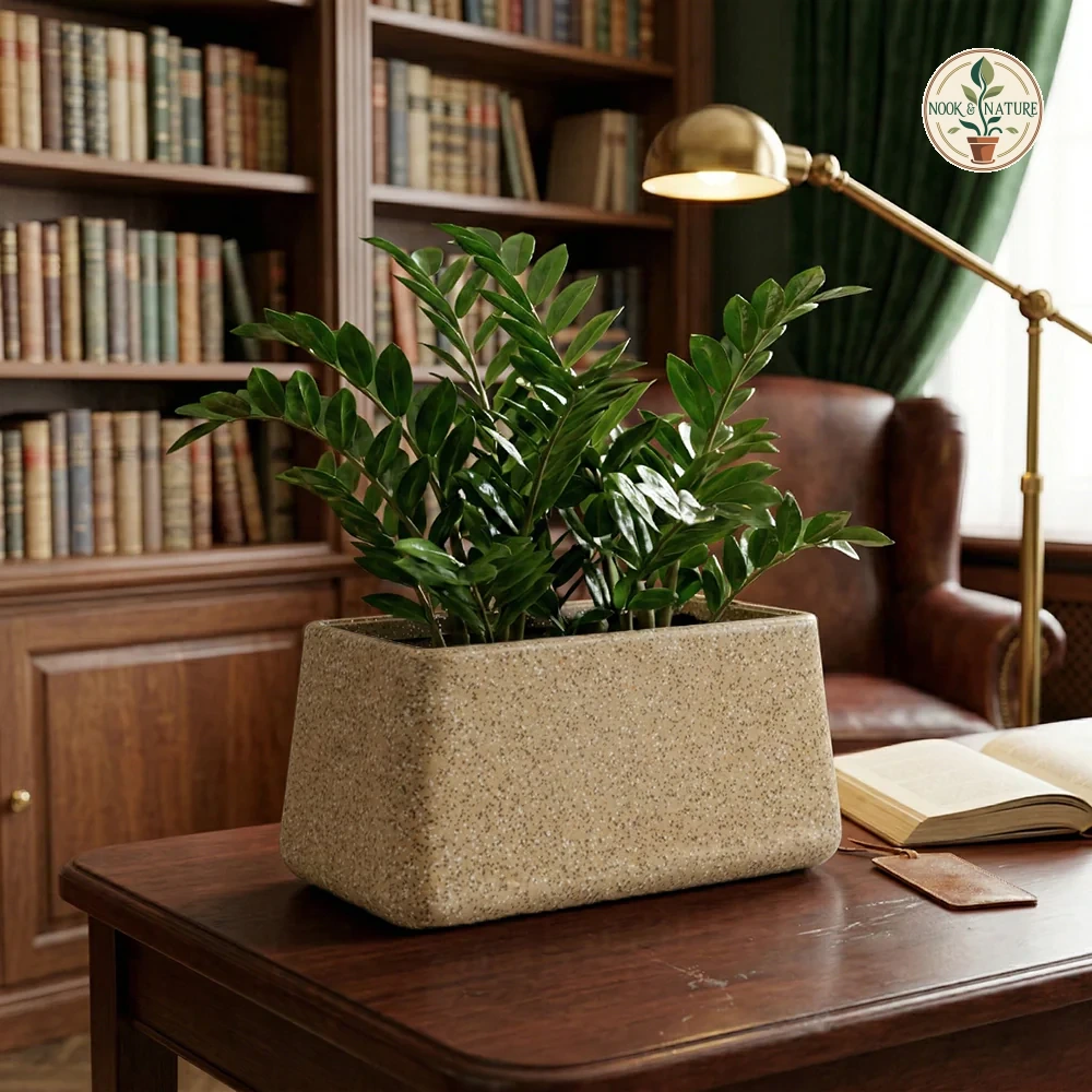 Roto Tiny 06 Self Watering Rectangular Pot 11 11 6 6 Sand - Nook & Nature