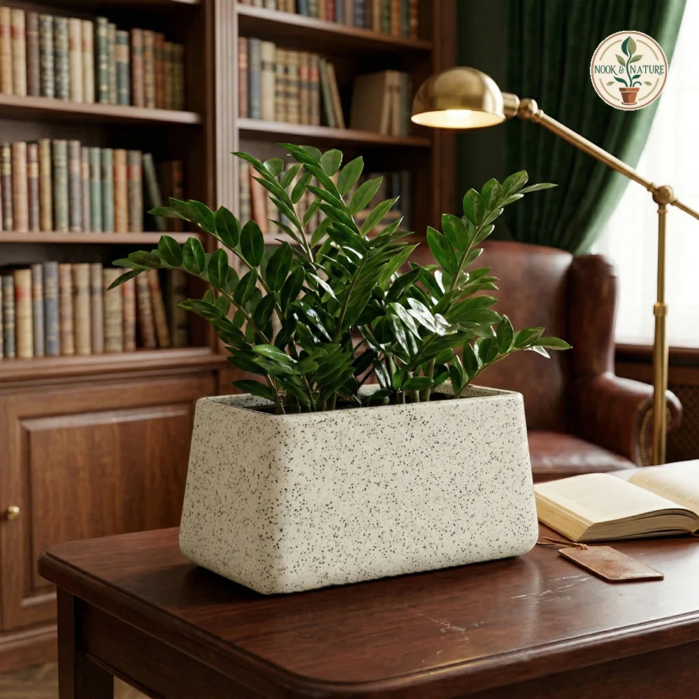 1 E3df24ec 97e5 4324 Bd03 841bd643dc2c - Nook & Nature