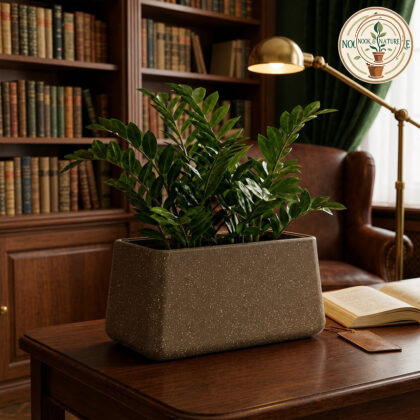 Roto Tiny 06 Self Watering Rectangular Pot 11″ - Nook & Nature