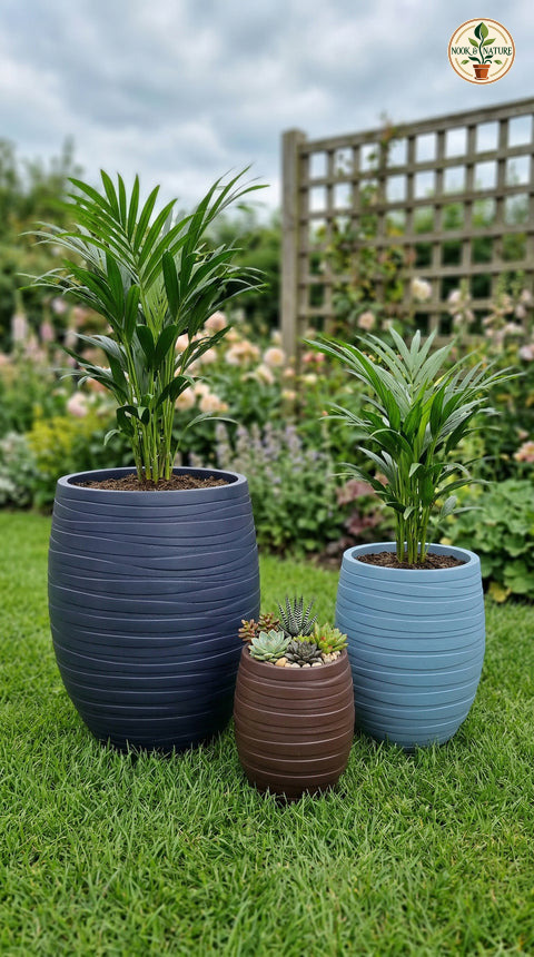 Royal Fiberglass Planters - Nook & Nature