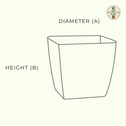 Siena Eco Planter - product image 7
