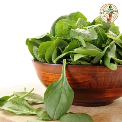 SPINACH SEEDS