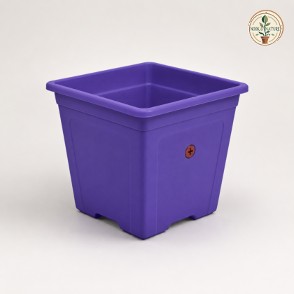 Square Time Planter - Nook & Nature