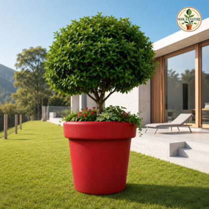 Super Jumbo Pot
