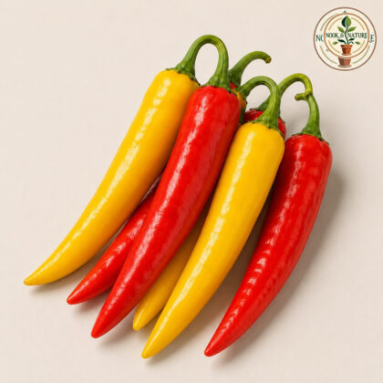 SWEET PEPPER HUNGARIAN WX-10