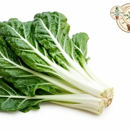 Swiss Chard - Nook & Nature