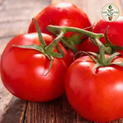 TOMATO ROUND SEEDS