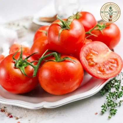 Tomato Round Hybrid - Nook & Nature