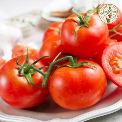 TOMATO-ROUND HYBRID SEEDS - Nook & Nature