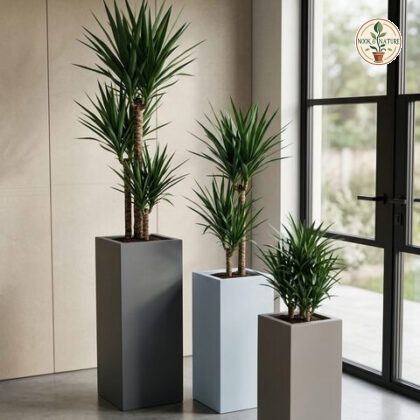 Tower Fiberglass Planters - Nook & Nature