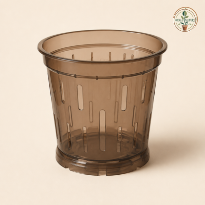 Transparent Orchid Pot - Nook & Nature