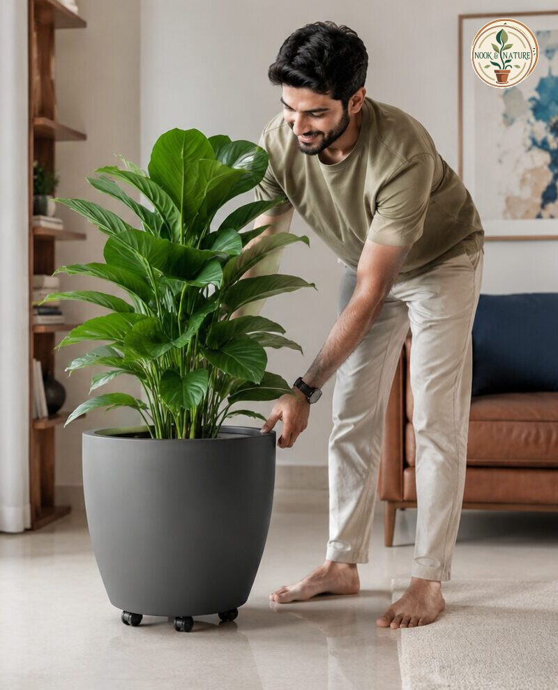 Valencia Planter with Wheels - Nook & Nature