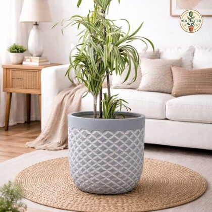 Vanila Fiberglass Round Planter S - Nook & Nature