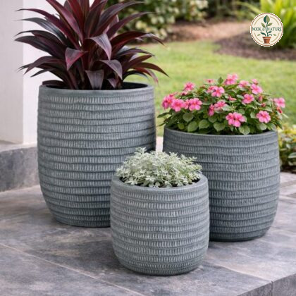 Venus Fiberglass Planters - Nook & Nature