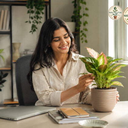 Verona Planter - Nook & Nature