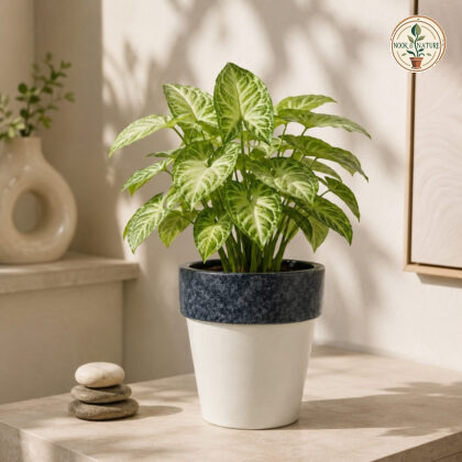 Vertica Planter