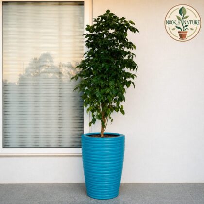 VIVA Long Round Planter Pot 25″ - Nook & Nature