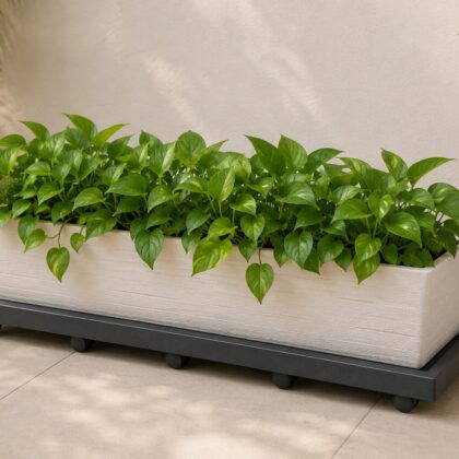 Walkable Tray Rectangle - Nook & Nature