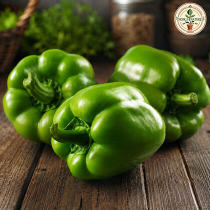 CAPSICUM GREEN