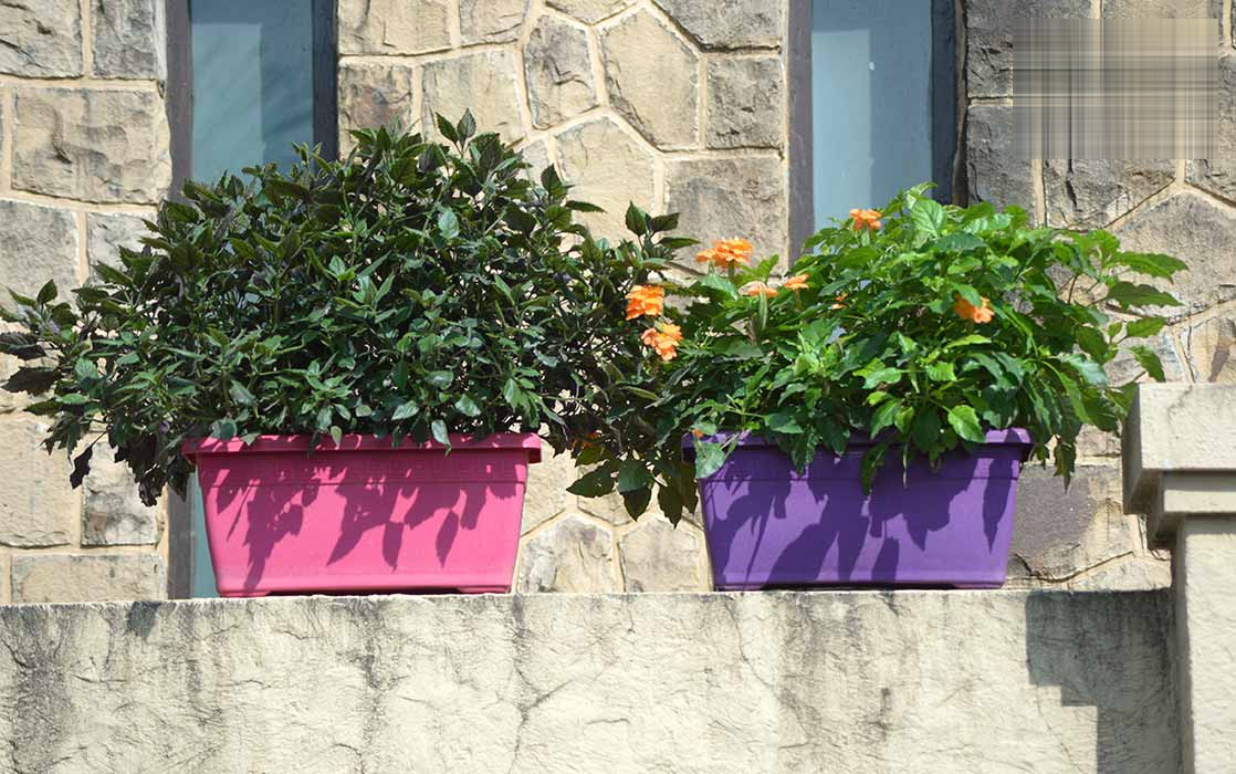 Window Planter - Image 15