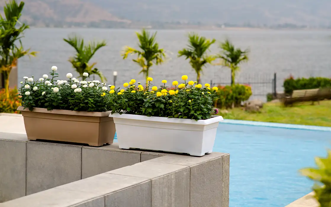 Window Planter - Image 16