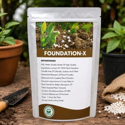 Foundation-X