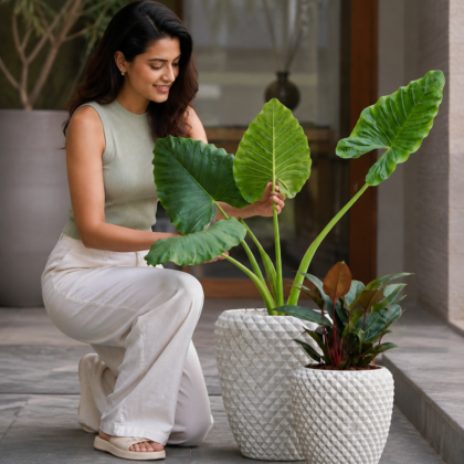 Woman kneeling beside two textured diamond planters holding large leafy green plants.