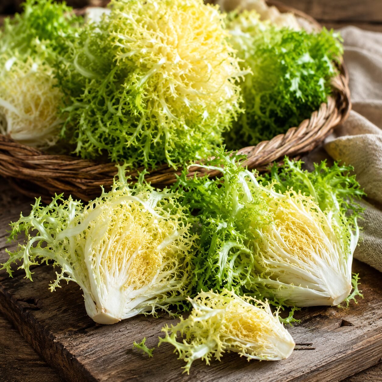 Endive Riccia Cuore Di Oro Seeds - Image 2