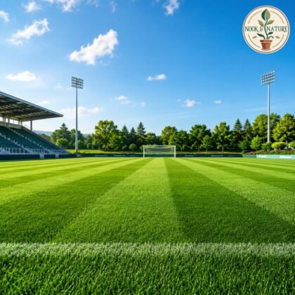 Imported Sports and Field Grass Seeds