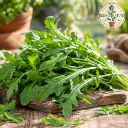 Rocket Rucola Leaves Seeds
