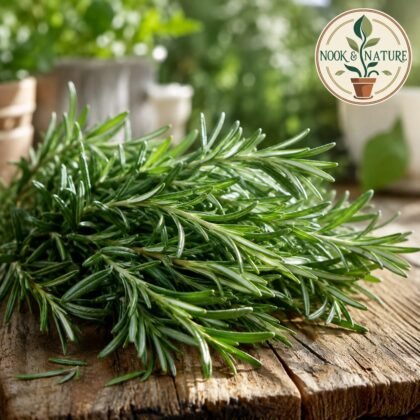 Rosemary Herb Seeds