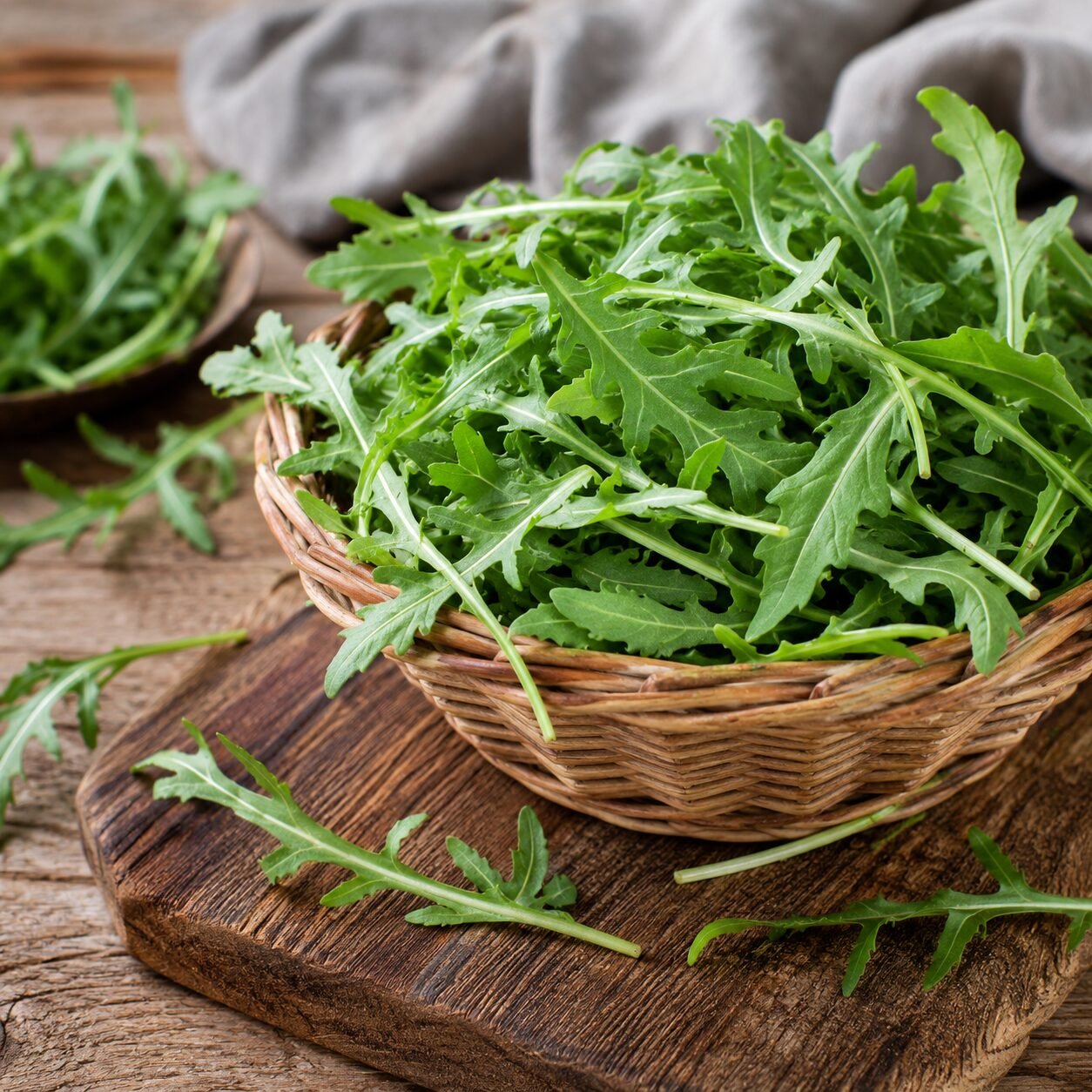 Rucola Cultivated Seeds - Image 2
