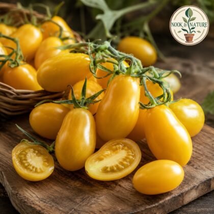 Tomato Plum Yellow Seeds