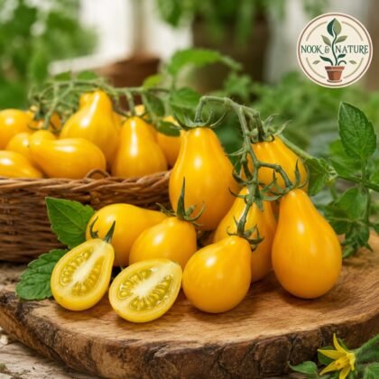 Tomato Yellow Pear Seeds