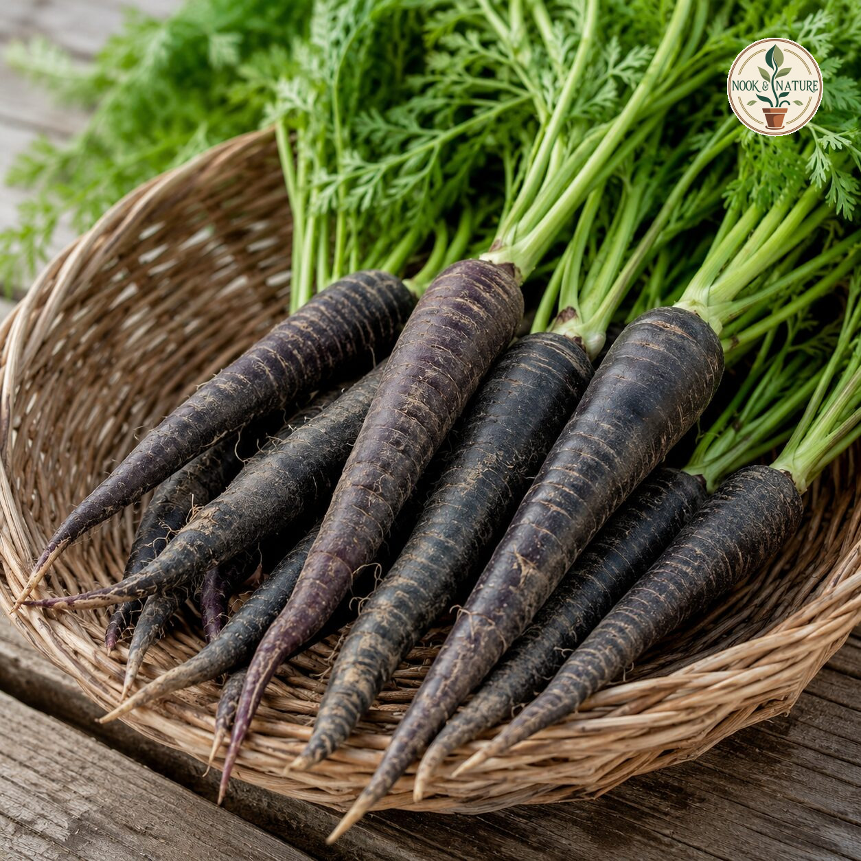 Carrot Black Wonder Seeds - Nook & Nature