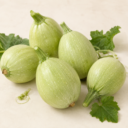Chappan Kaddu (Summer Squash) Seeds - Nook & Nature
