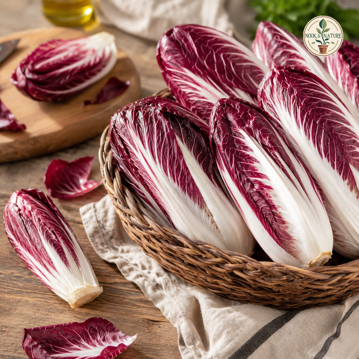 Chicory Rossa Di Verona Seeds - Nook & Nature